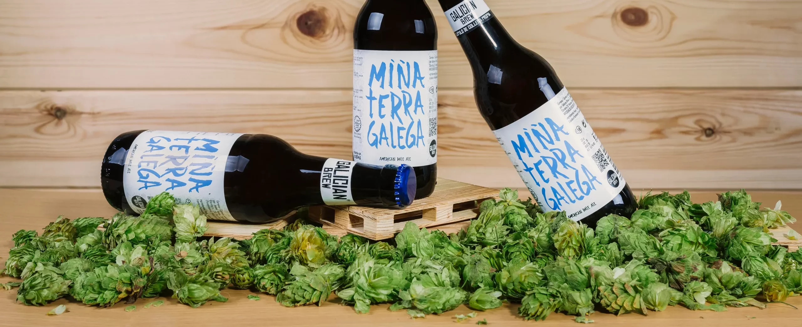 tenda galicianbrew